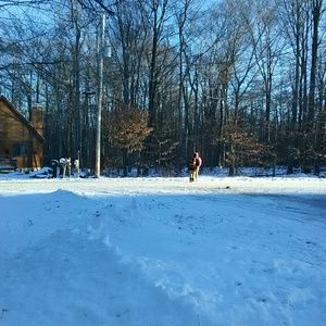 Meet your Posher, Iris